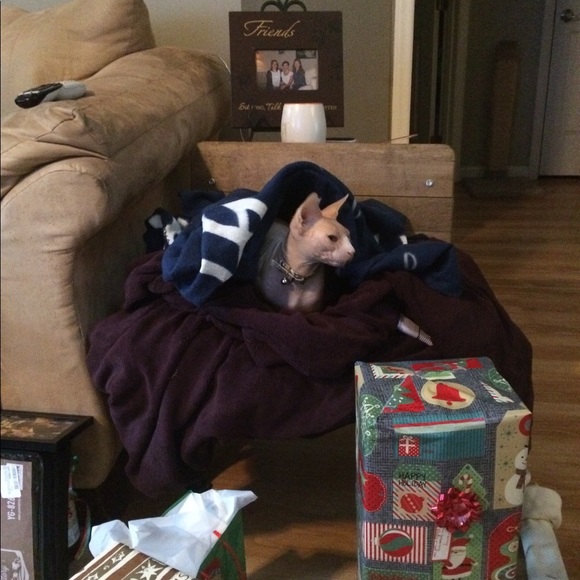 Meet your Posher, Marsha - Picture 10 of 11